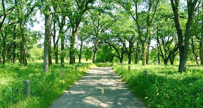 Jangan Remehkan Nikmat