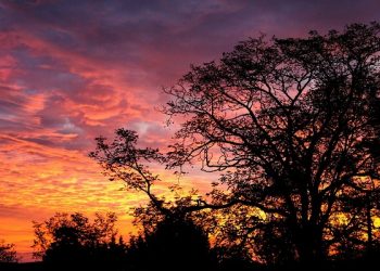 Al-Baqarah Ayat 281: Takutlah Dirimu pada Hari Kembali