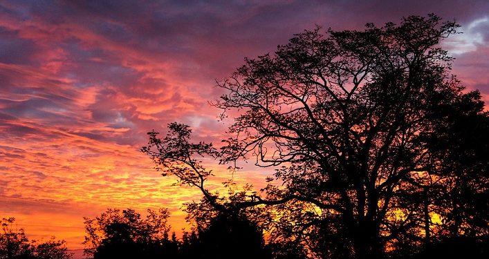 Al-Baqarah Ayat 281: Takutlah Dirimu pada Hari Kembali