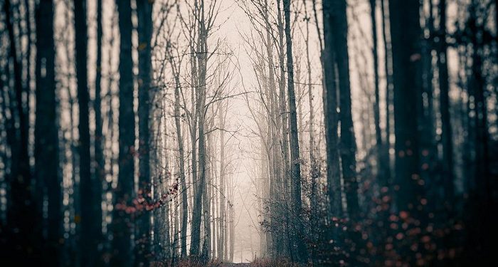 Kesombongan Melahirkan Beragam Penyakit Hati