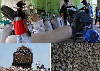 Peringati Hari Lingkungan Hidup Sedunia, DLHK NTB Fokus pada Program NTB Hijau dan Zero Waste