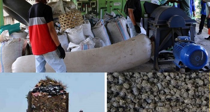 Peringati Hari Lingkungan Hidup Sedunia, DLHK NTB Fokus pada Program NTB Hijau dan Zero Waste