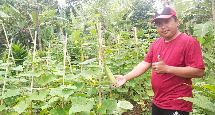 Petani Binaan LAZ Al Azhar Petik Hasil yang Melimpah