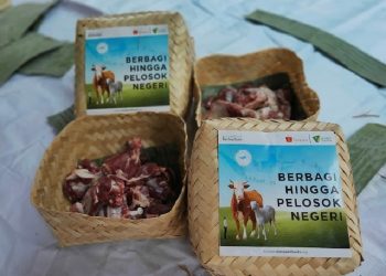 Kementerian Lingkungan Hidup dan Kehutanan Dorong Kurban Tanpa Plastik