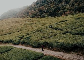 Gunung Kencana, Spot Hiking untuk Pendaki Pemula