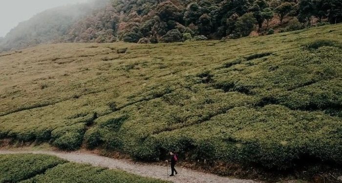 Gunung Kencana, Spot Hiking untuk Pendaki Pemula