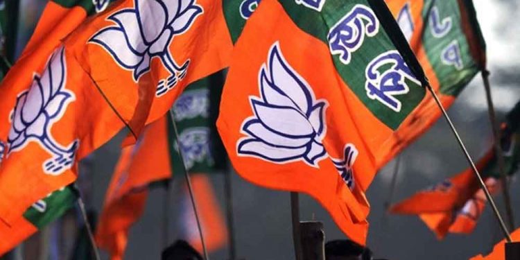 Belajar dari Kedegilan India