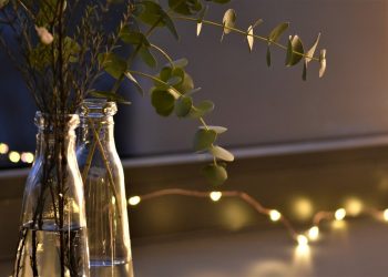 Fakta Daun Eucalyptus yang Wanginya Disebut Tercium dari Jenazah Eril