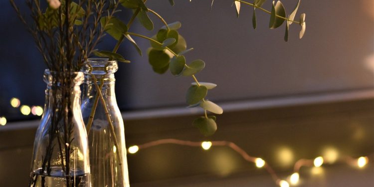 Fakta Daun Eucalyptus yang Wanginya Disebut Tercium dari Jenazah Eril