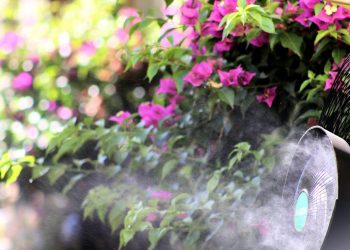 Tips Buang Angin Buat Kamu yang Kesulitan