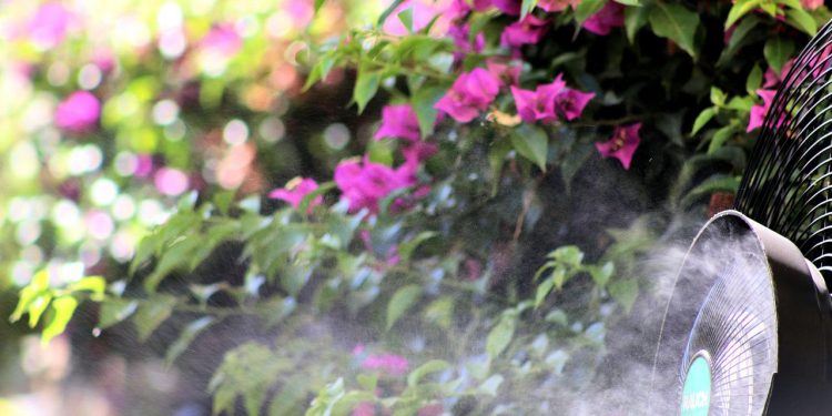 Tips Buang Angin Buat Kamu yang Kesulitan