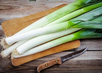 Tips Menyimpan Daun Bawang Agar Tetap Segar