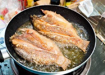 Tips Goreng Ikan Agar Minyak Tidak Meletup