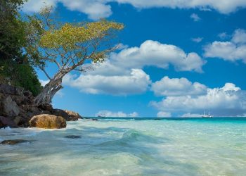 Tutur Kata dan Cara Berbicara Rasulullah