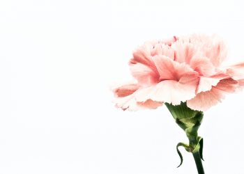 Doa memohon keteguhan iman