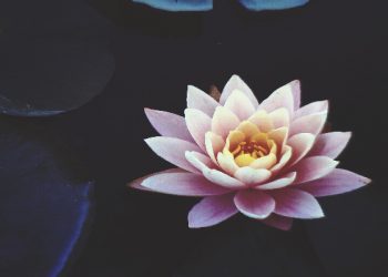 Interaksi laki-laki dan perempuan