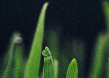 Doa penyesalan nabi adam