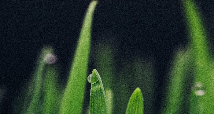 Doa penyesalan nabi adam