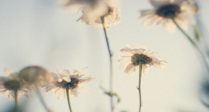 Wasiat Nabi Ibrahim dan Ya`qub kepada Anak-anaknya