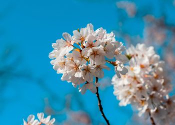 Doa agar Anak Dicintai Allah