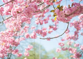 Mengira akan masuk surga?