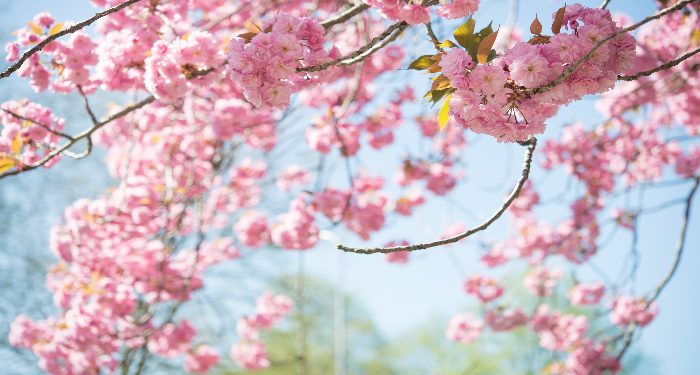 Mengira akan masuk surga?