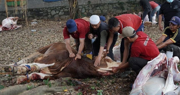 Aktivitas Pemotongan Hewan Kurban di Jakarta Islamic School