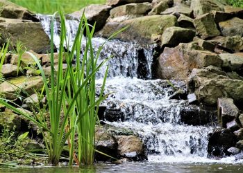 Kemuliaan Orang Berilmu yang Menjadi Saksi Ketauhidan Allah