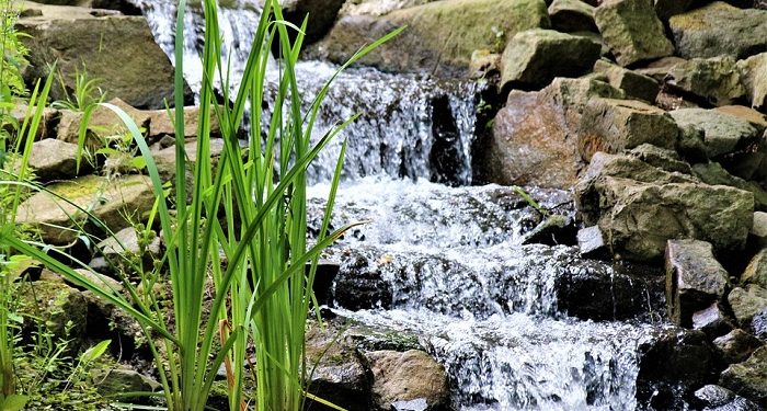 Kemuliaan Orang Berilmu yang Menjadi Saksi Ketauhidan Allah