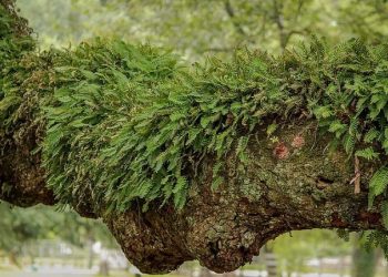 Tidak Menjadi Orang Ketiga Pengganggu Rumah Tangga