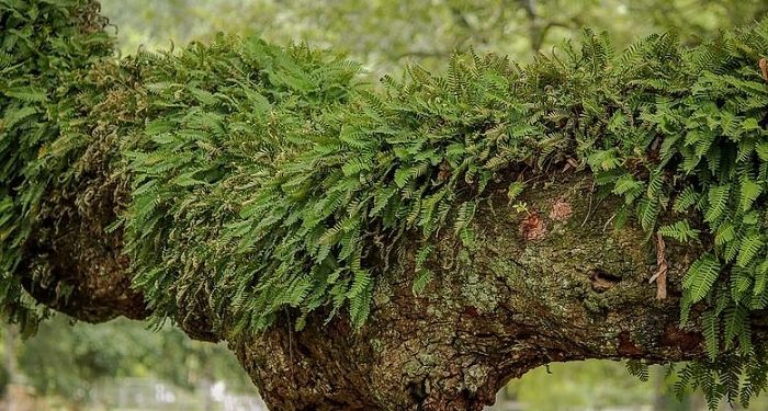 Tidak Menjadi Orang Ketiga Pengganggu Rumah Tangga