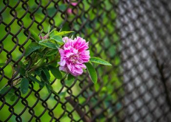 Ciri-Ciri Hubungan Percintaan yang Salah