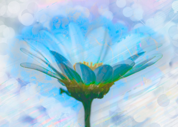 Sikap yang Baik Lahir dari Hati yang Lembut