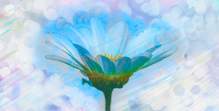 Sikap yang Baik Lahir dari Hati yang Lembut