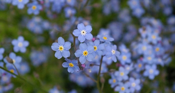 Membangun Kebersamaan dalam Keluarga