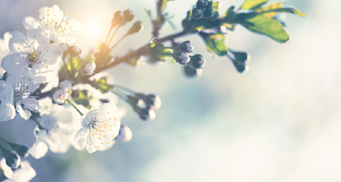 Kabsyah binti Ma'an, Wanita yang Mengakhiri Kebiasaan Jahiliyyah