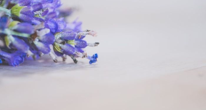 Tafsir Surat Al-Kafirun Ayat 2 dan 3