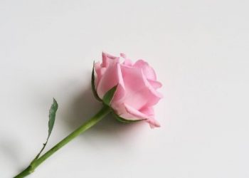 Kaidah tentang Batasan Memukul Anak