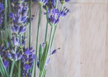 Tafsir Al-Kafirun ayat 6, Untukku Agamaku