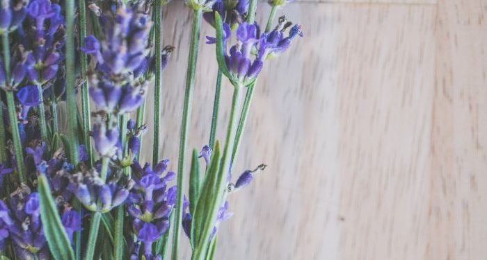 Tafsir Al-Kafirun ayat 6, Untukku Agamaku