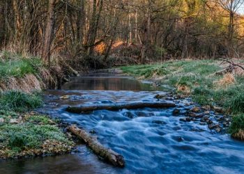 Kenikmatan-Kenikmatan Penduduk Surga