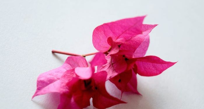 Adil lebih Dekat kepada Takwa