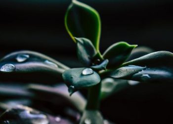 Pertolongan Allah Dekat, Hubungan Kita yang Amat Jauh