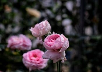 Adab Seorang Muslim setiap Selesai Ibadah