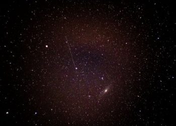 Untuk Apa Manusia Diciptakan?