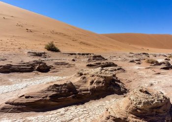 Dukungan Keluarga Rasulullah Selama Dakwah Periode Mekkah
