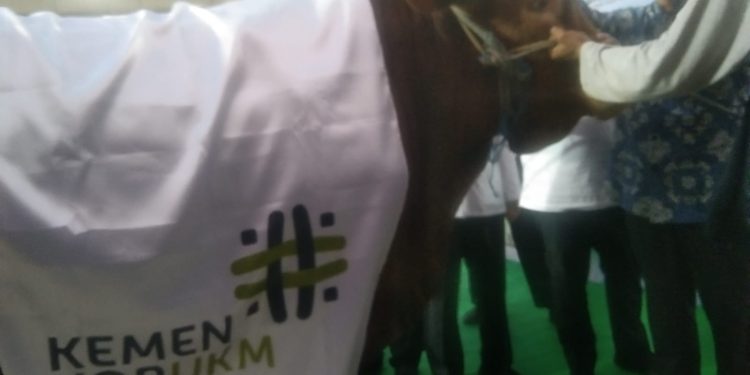 KEMENKOPUKM Salurkan Hewan Kurban Kepada BAZNAS