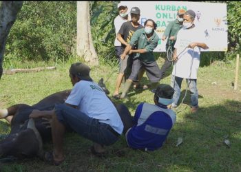 Semarak Kurban Online BAZNAS 1443H