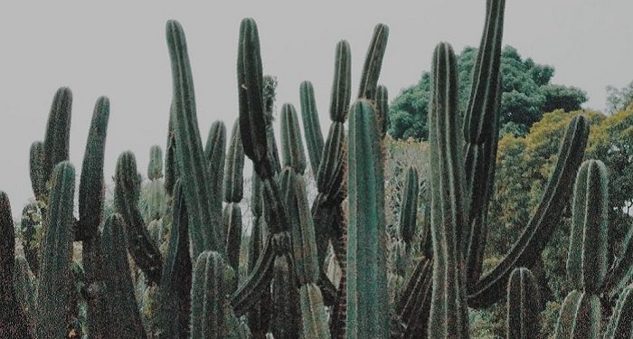 Setiap Kedzaliman Akan Terbalaskan 7 Kali Lipat Di Akhirat