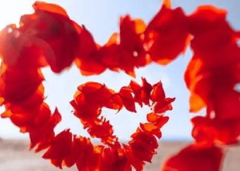 Kemesraan Suami Istri